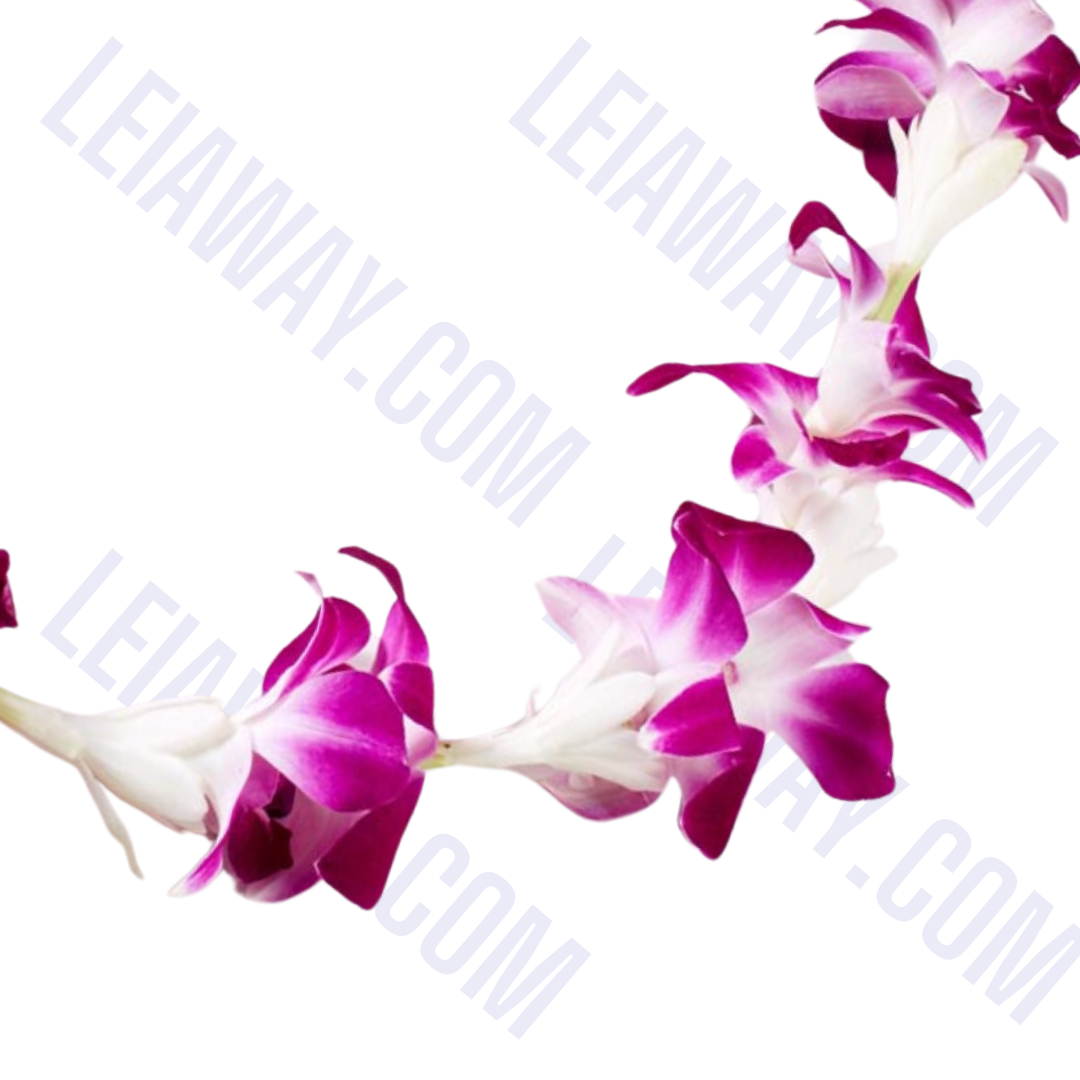 Fragrant Tuberose & Purple Orchid Lei