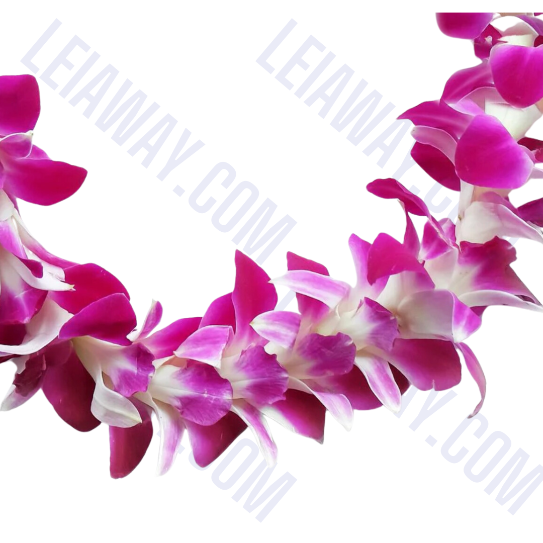Single Purple Orchid Lei