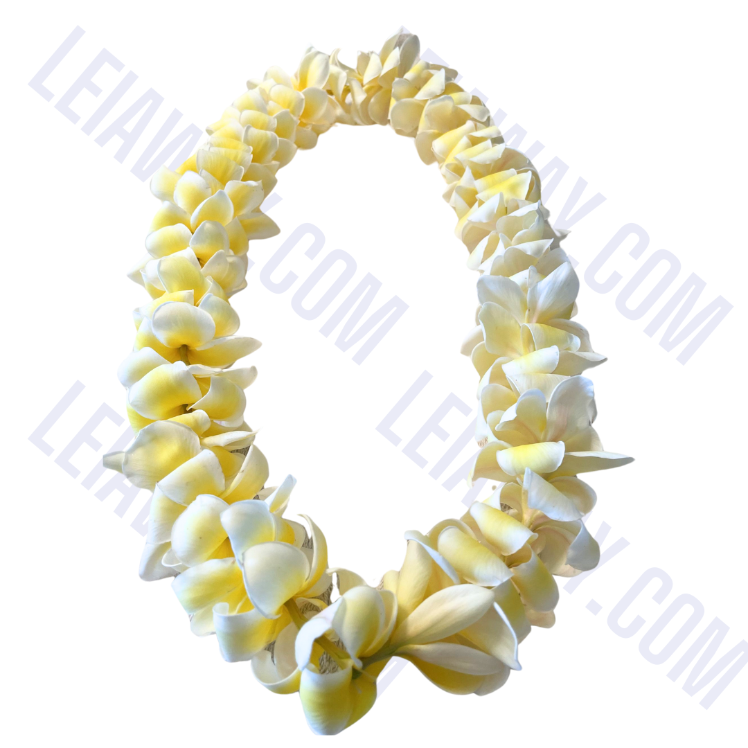 Single Plumeria Lei