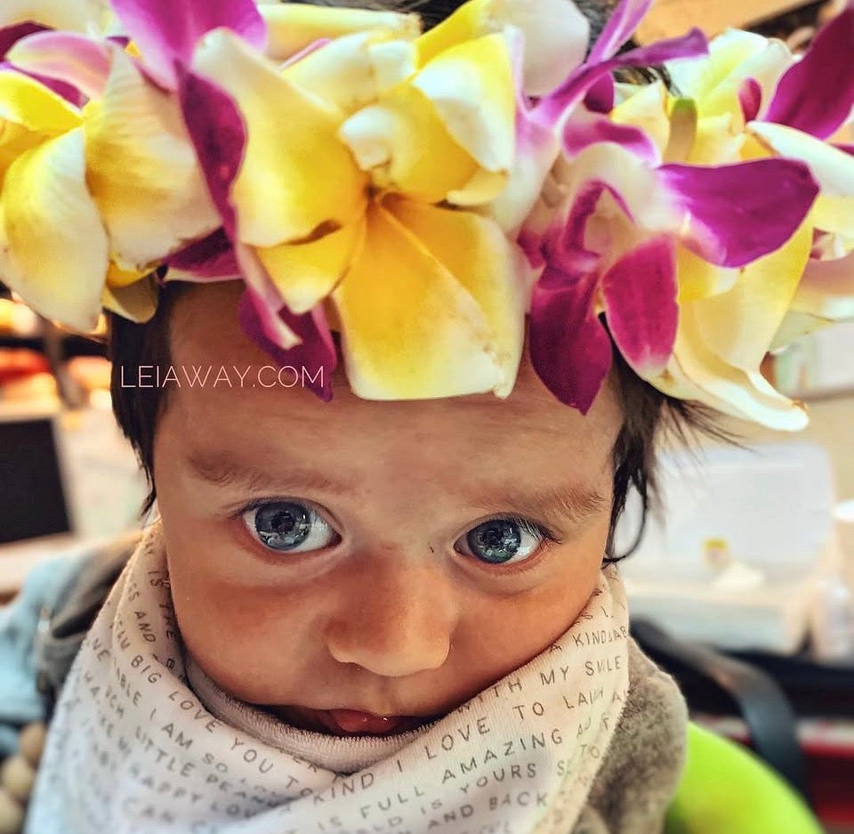 Lei Po'o / Haku (Head) Lei