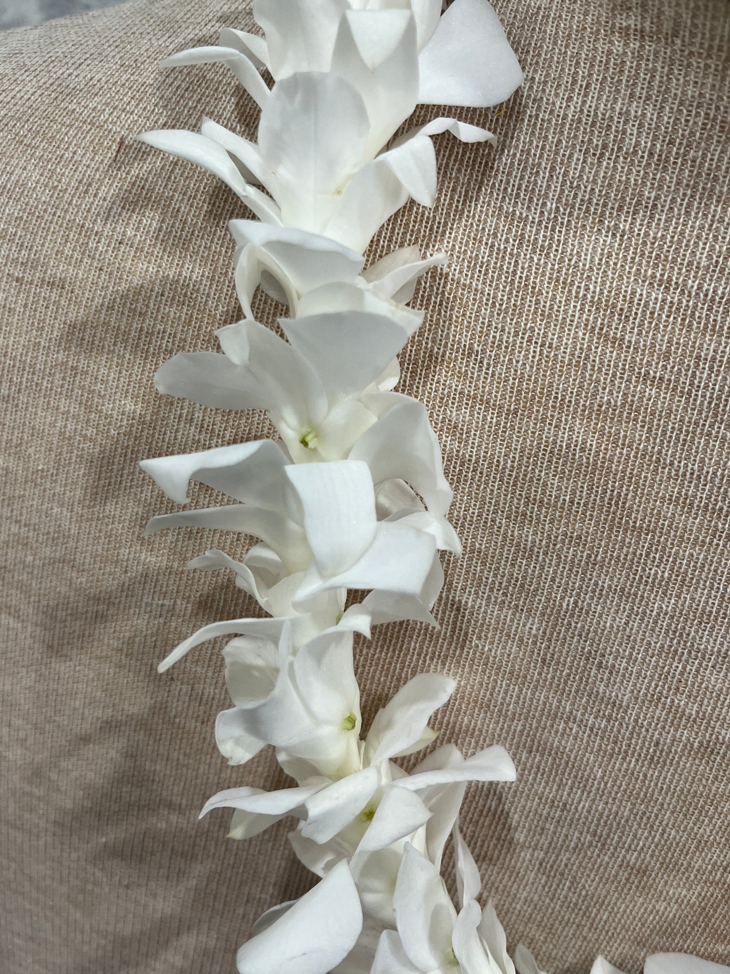 Single White Orchid Lei